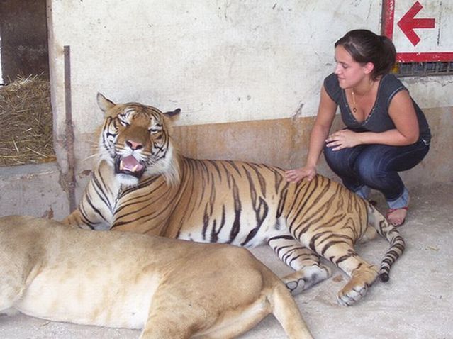 Caress me if you can ... (38 pics)