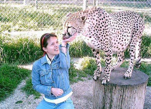 Caress me if you can ... (38 pics)
