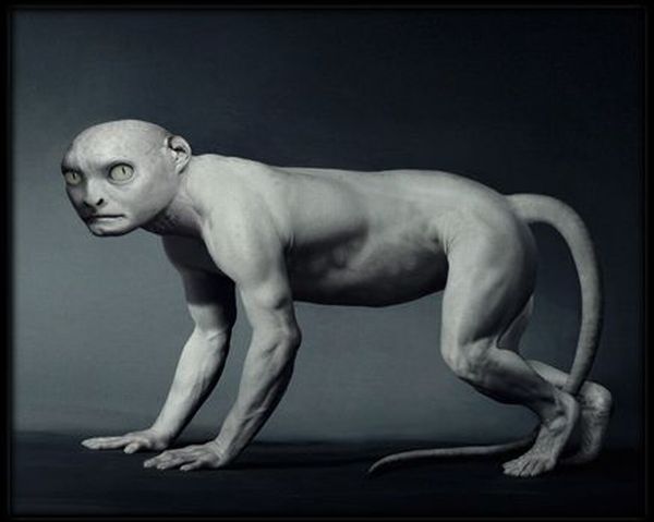 Where do humans come from? (11 pics)