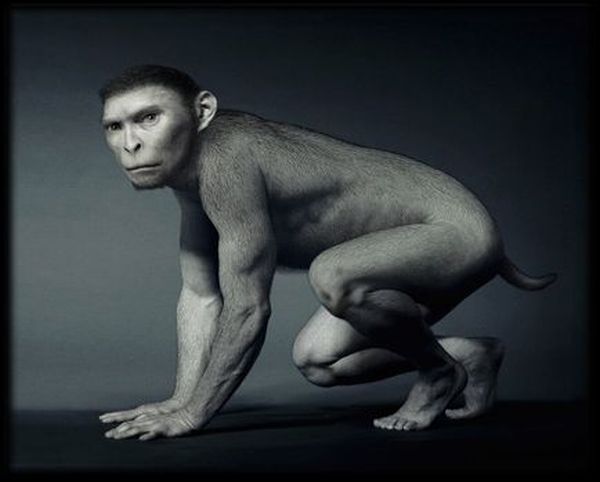 Where do humans come from? (11 pics)