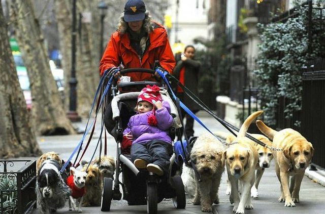 Daily picdump (129 pics)