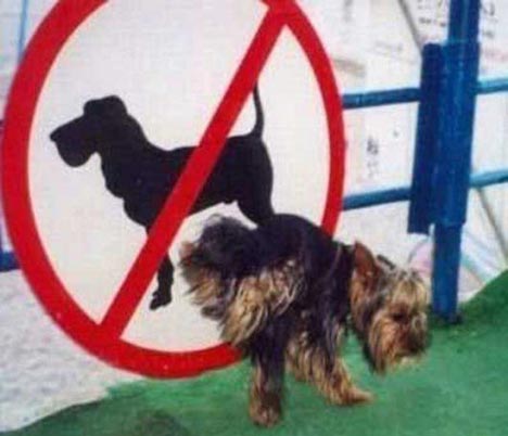 Daily picdump (129 pics)