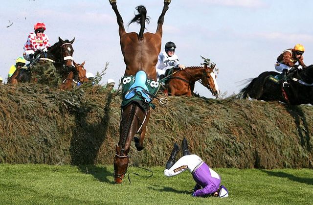Daily picdump (129 pics)