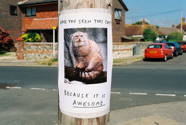 Daily picdump (129 pics)
