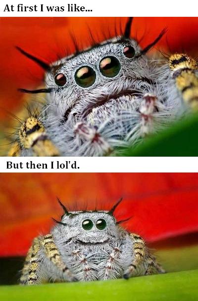 Daily picdump (129 pics)