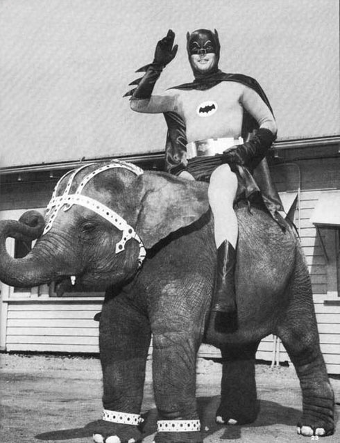Daily picdump (129 pics)