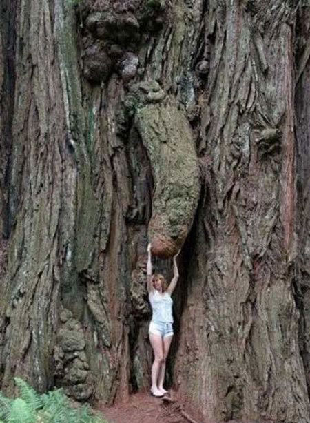 Daily picdump (129 pics)
