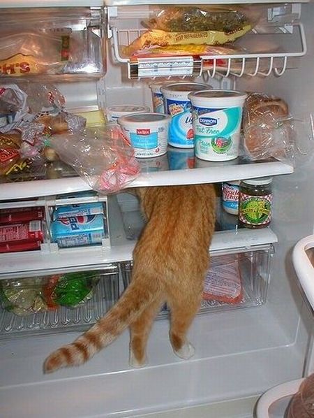 Daily picdump (129 pics)