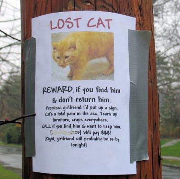 Daily picdump (129 pics)