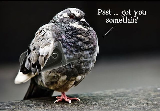 Daily picdump (129 pics)