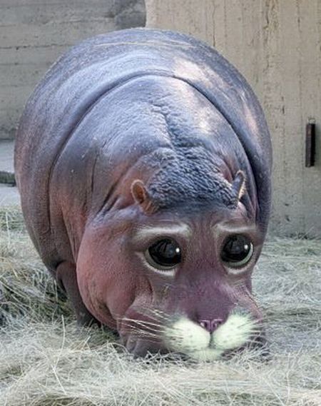 Daily picdump (129 pics)