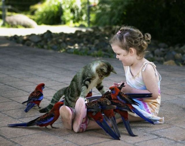 Daily picdump (129 pics)