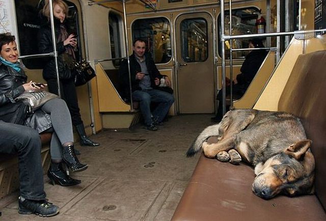 Daily picdump (129 pics)