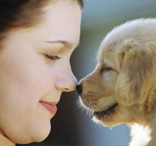 Women and dogs (17 photos)
