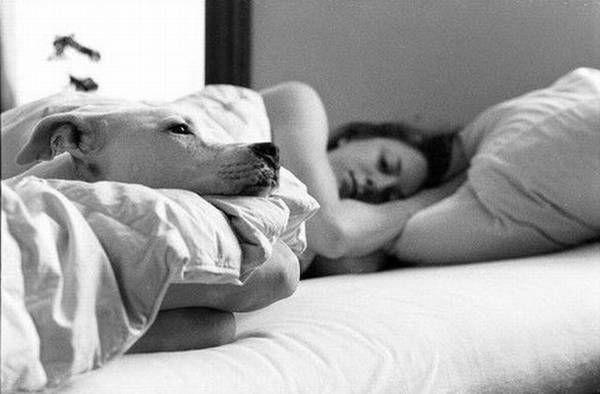 Women and dogs (17 photos)