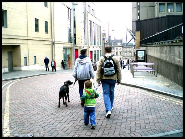 Lesson for parents. Children on a leash (35 pics)