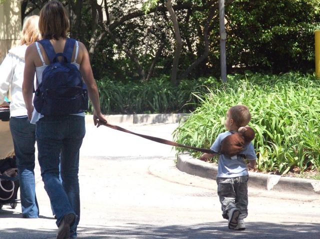 Lesson for parents. Children on a leash (35 pics)