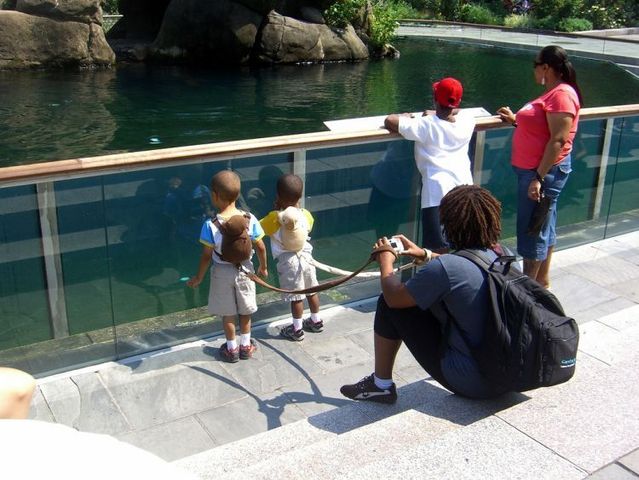 Lesson for parents. Children on a leash (35 pics)