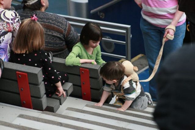 Lesson for parents. Children on a leash (35 pics)