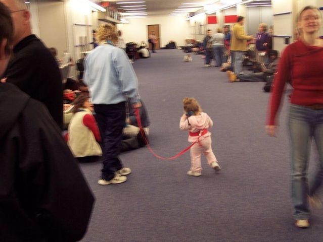 Lesson for parents. Children on a leash (35 pics)