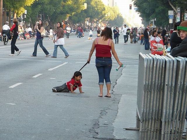 Lesson for parents. Children on a leash (35 pics)