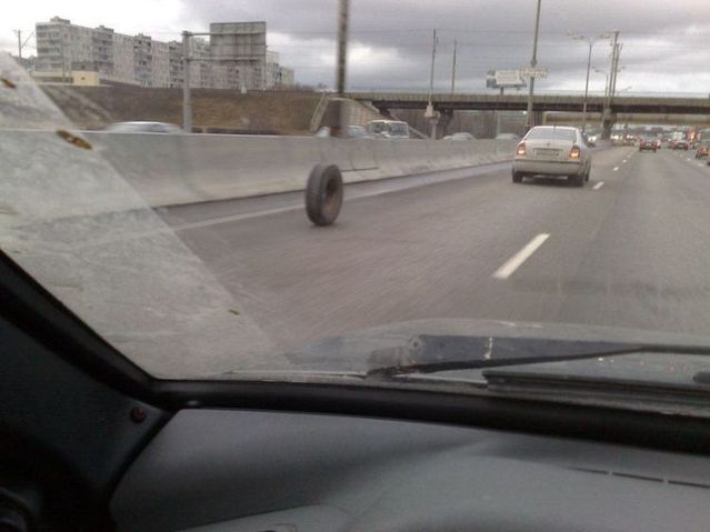 Daily picdump (95 pics)