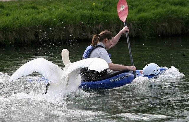 Daily picdump (95 pics)