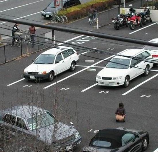 Daily picdump (95 pics)