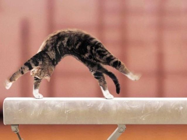 Daily picdump (95 pics)