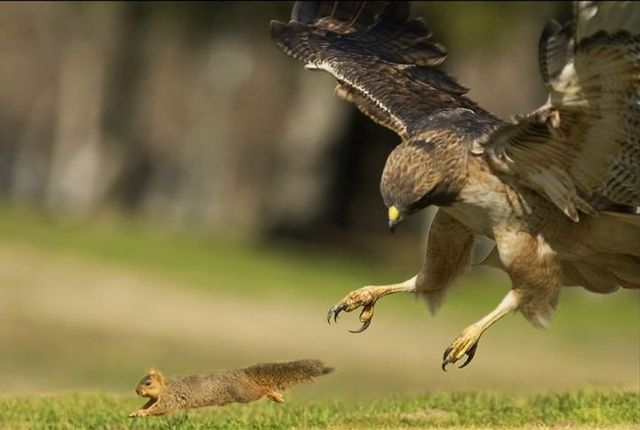 Daily picdump (95 pics)