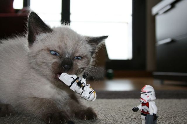 Daily picdump (95 pics)