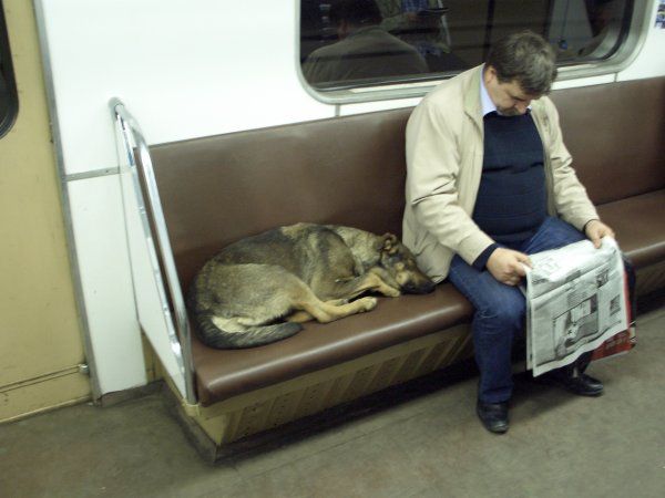 Daily picdump (95 pics)