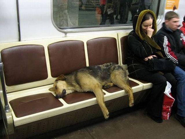 Daily picdump (95 pics)