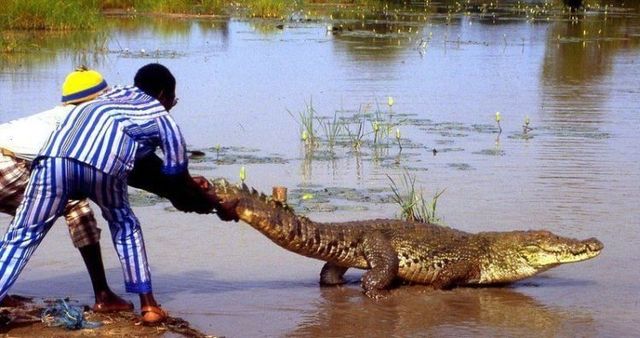 Daily picdump (95 pics)