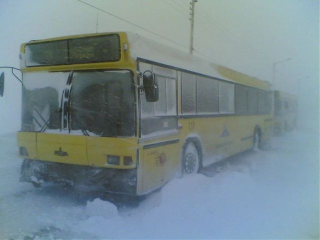 Public transport where it’s very cold (20 pics)