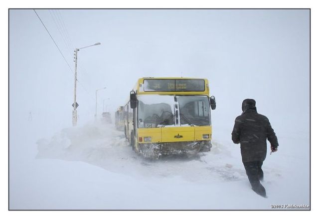 Public transport where it’s very cold (20 pics)