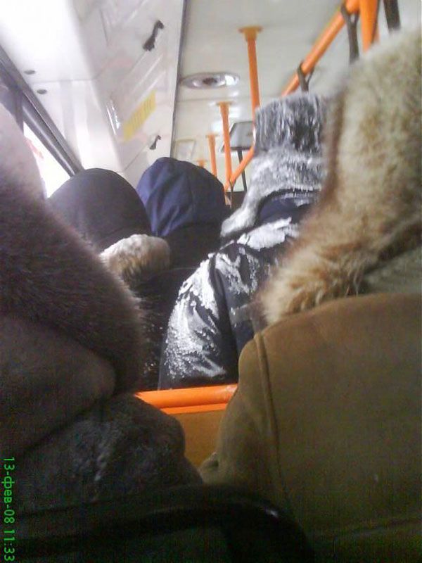 Public transport where it’s very cold (20 pics)