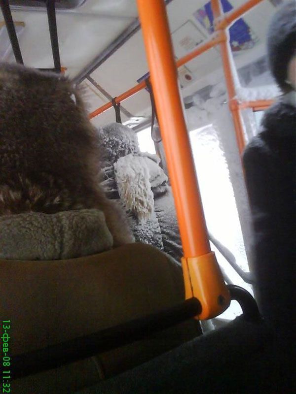 Public transport where it s very cold  20 pics