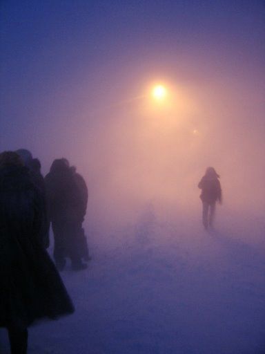 Public transport where it’s very cold (20 pics)