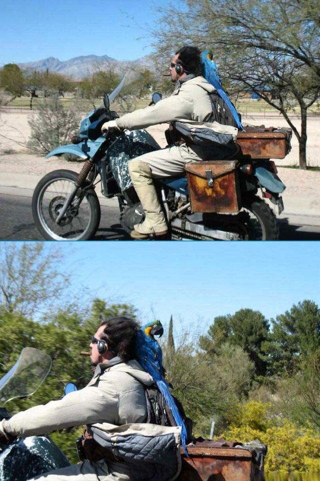Daily picdump (119 pics)