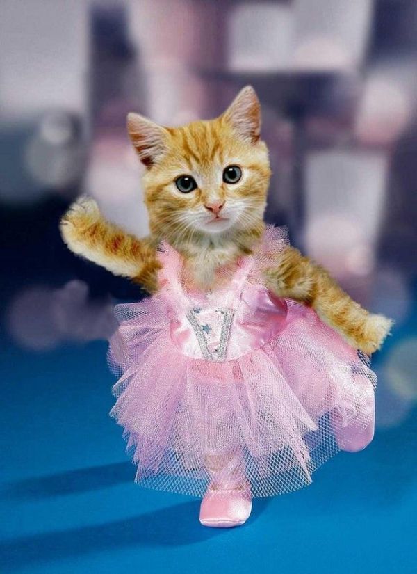 Daily picdump (119 pics)