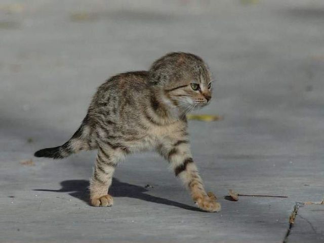 Daily picdump (105 pics)