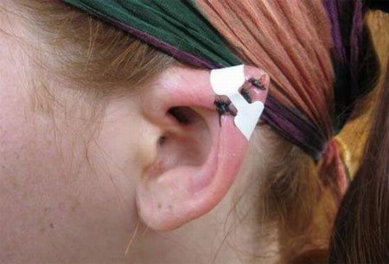 Daily picdump (105 pics)