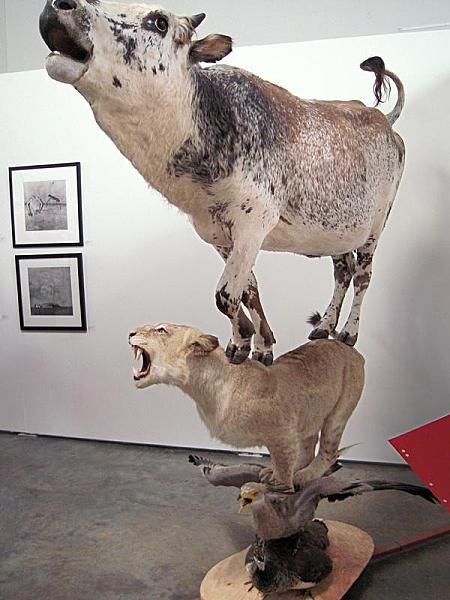 Daily picdump (105 pics)