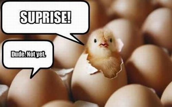 Daily picdump (105 pics)