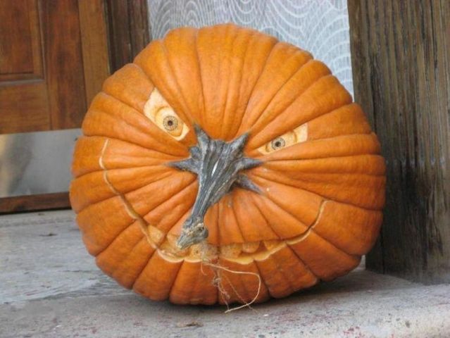 Daily picdump (105 pics)