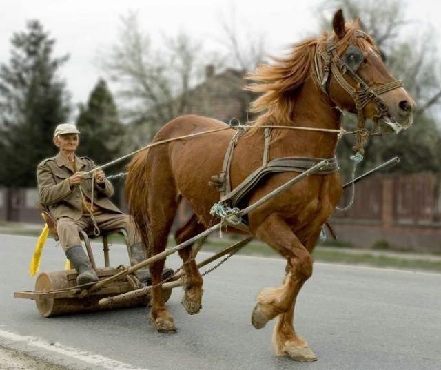 Daily picdump (105 pics)
