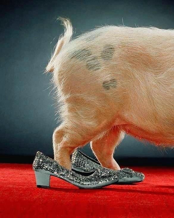 Daily picdump (105 pics)