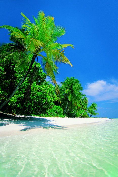 Beautiful beaches. I’d give anything to be there right now ;) (42 photos)