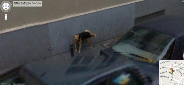 20 Crimes Caught on Google Street View (46 pics)